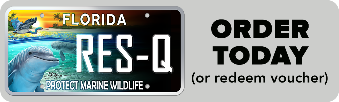 Florida Protect Marine Wildlife Order Today or Redeem Voucher
