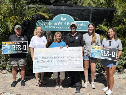 SPECIALTY PLATE DONATIONS HELP MARATHON WILD BIRD CENTER SPREAD ITS WINGS