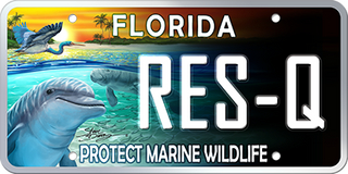 Protect Marine Wildlife Plate